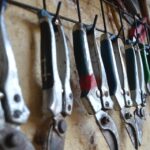 agriculture jobs abroad